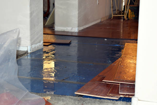 Professional Sewage Cleanup technician working in Lexington, TX